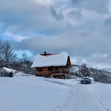 Reset * 즐라티보